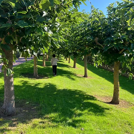 Appartamento Neuf Beautiful 1-4 Pers Avec Parking Privé Et à 200 M *