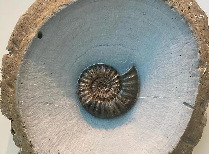 Neuf Beautiful 1-4 Pers Avec Parking Privé Et à 200 M Appartamento