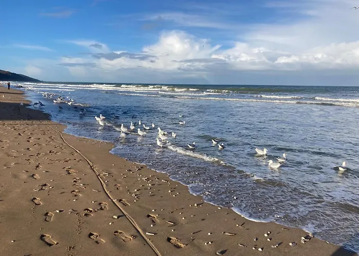 Appartamento Neuf Beautiful 1-4 Pers Avec Parking Privé Et à 200 M