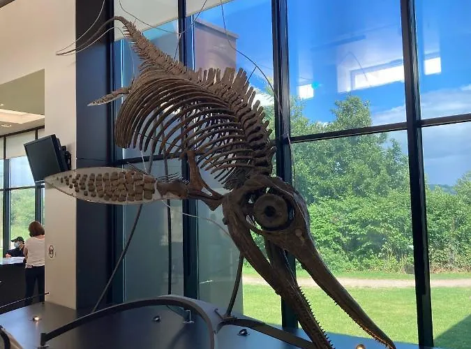 Neuf Beautiful 1-4 Pers Avec Parking Privé Et à 200 M *