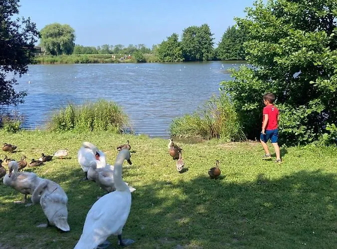 Neuf Beautiful 1-4 Pers Avec Parking Privé Et à 200 M * Villers-sur-Mer