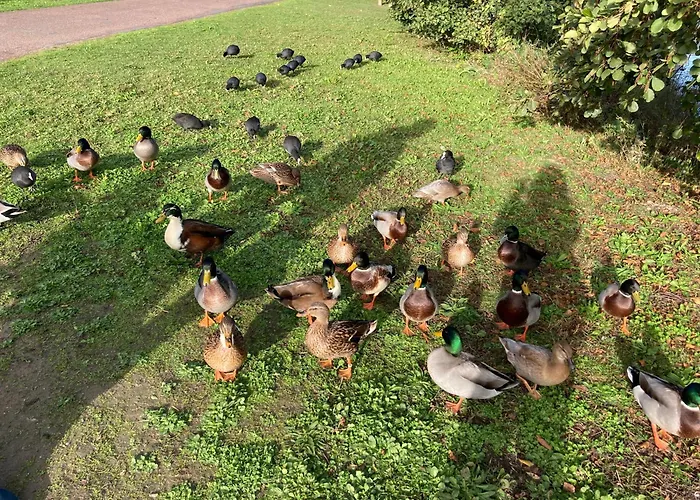 Neuf Beautiful 1-4 Pers Avec Parking Privé Et à 200 M Appartamento