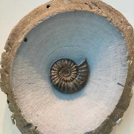 Neuf Beautiful 1-4 Pers Avec Parking Privé Et à 200 M Apartamento