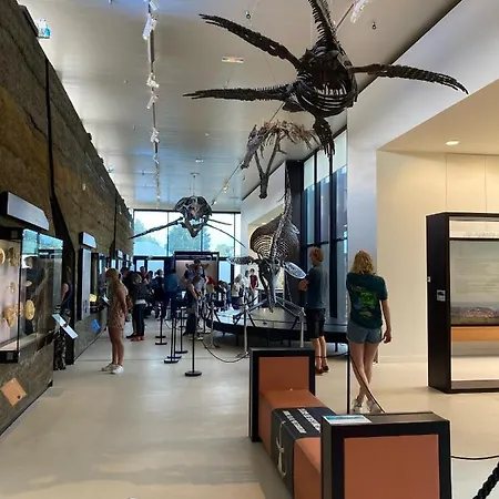 Neuf Beautiful 1-4 Pers Avec Parking Privé Et à 200 M