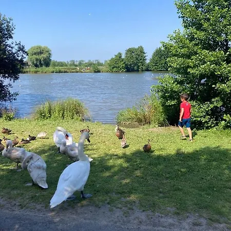 Neuf Beautiful 1-4 Pers Avec Parking Privé Et à 200 M * Villers-sur-Mer