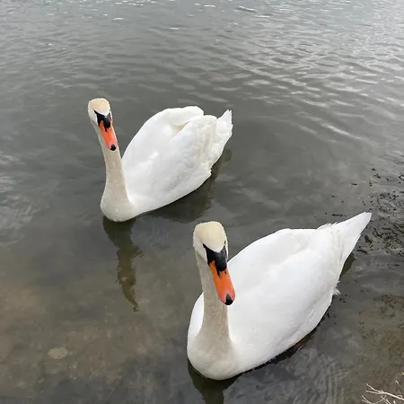 Neuf Beautiful 1-4 Pers Avec Parking Privé Et à 200 M *