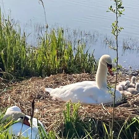 Neuf Beautiful 1-4 Pers Avec Parking Privé Et à 200 M *