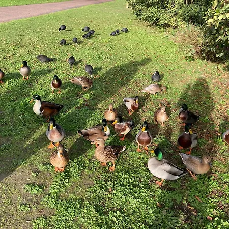 Neuf Beautiful 1-4 Pers Avec Parking Privé Et à 200 M Apartamento