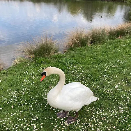 Neuf Beautiful 1-4 Pers Avec Parking Privé Et à 200 M *