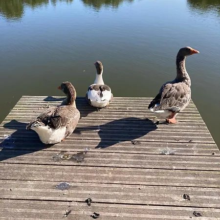 Neuf Beautiful 1-4 Pers Avec Parking Privé Et à 200 M * Villers-sur-Mer