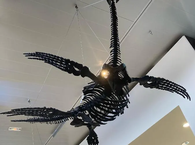 Neuf Beautiful 1-4 Pers Avec Parking Prive Et A 200 M アパート *