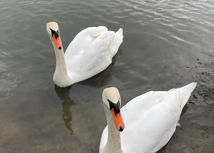 Neuf Beautiful 1-4 Pers Avec Parking Prive Et A 200 M *