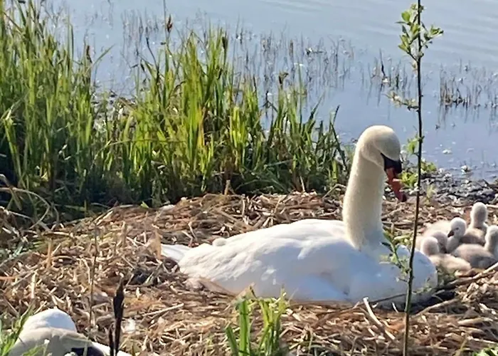 Neuf Beautiful 1-4 Pers Avec Parking Prive Et A 200 M *