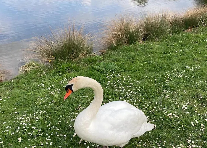 Neuf Beautiful 1-4 Pers Avec Parking Prive Et A 200 M *