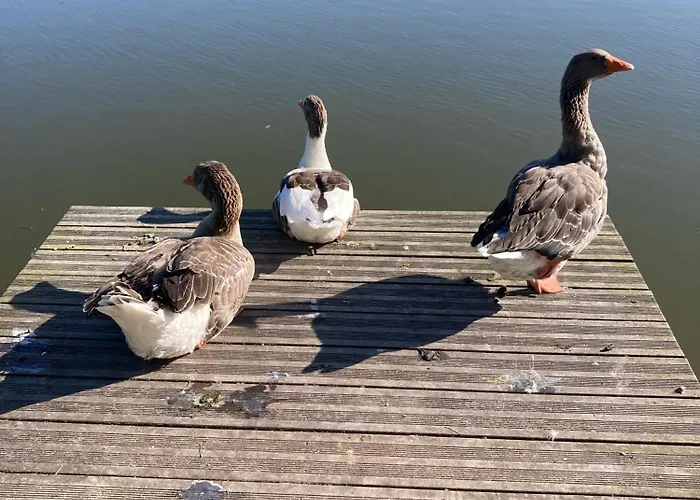 Neuf Beautiful 1-4 Pers Avec Parking Prive Et A 200 M * ヴィレ・シュル・メール