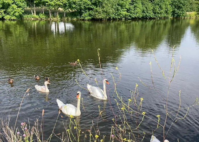 Neuf Beautiful 1-4 Pers Avec Parking Prive Et A 200 M * ヴィレ・シュル・メール